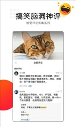 QQ看点视频