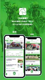懂马帝