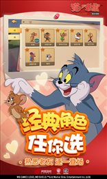 猫和老鼠