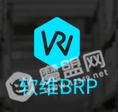 软维BRP