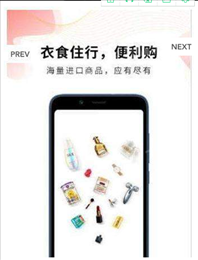 斑马西西