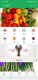 蔬批发