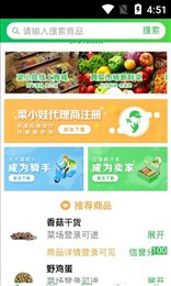 菜小娃