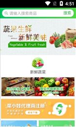 菜小娃
