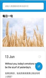 御用词典app
