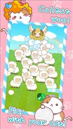 爆炸头猫