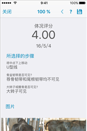 肉牛管理
