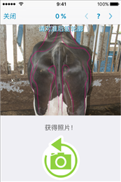 肉牛管理