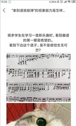 旋律大师