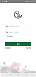 凌翠