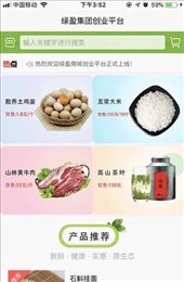 绿盈集团