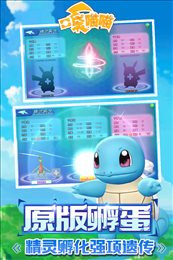 口袋喵喵
