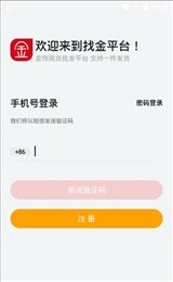 找金