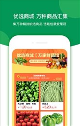 万家农批