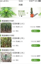 问苗