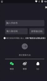小金人
