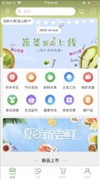 果菜团