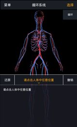 人体护理