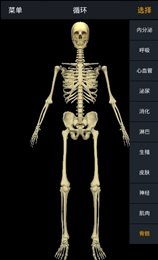 人体护理