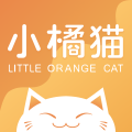 小橘猫婚礼课堂