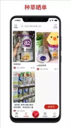 维他命博士