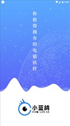 小蓝鸽
