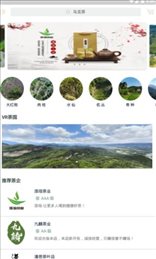 茶知了