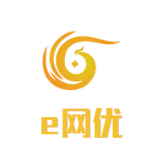 e网优