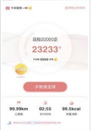 走宝