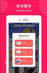 小红蚁