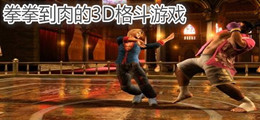 拳拳到肉的3D格斗游戏