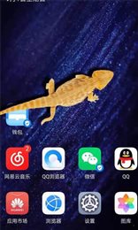 猫咪桌面宠物整蛊工具