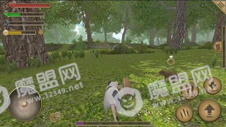 流浪鼠家庭模拟器