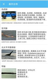 寻海
