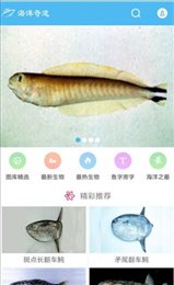 寻海