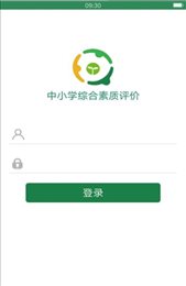 核心素养评价