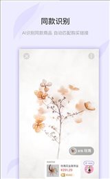 万图拍扫描