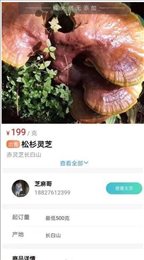 仙草田