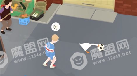 捣蛋鹅