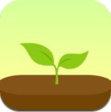 Forest种树