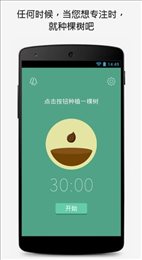 Forest种树