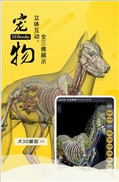 3Dbody宠物
