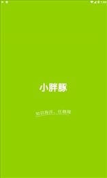 小胖豚