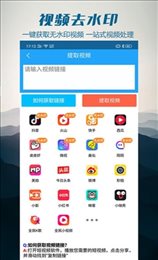 去视频水印