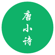 唐小诗