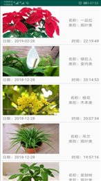 绿植花卉