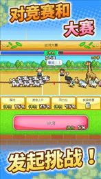 新彩红岛
