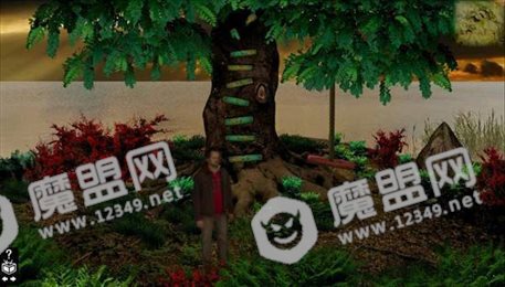 木箱樟