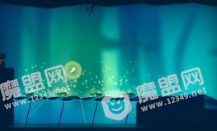 与蝶同行