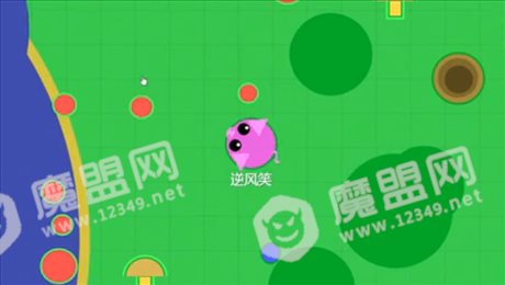 海底生物进化模拟器(Tasty Blue)